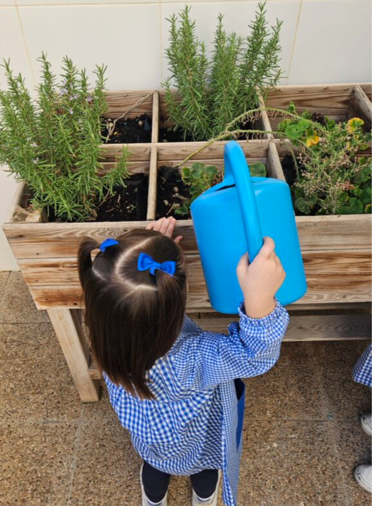 Captura de pantalla 2026-02-16 a las 11.11.52